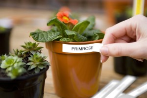 Ideal labelling solution for your garden